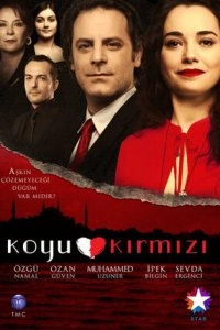 Подробнее о турецком сериале «Темно-красный»
